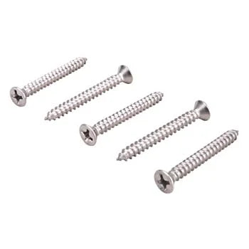 NDS 829 Stainless Steel Phillips Flat Head Screws #6 x 1 1/4" Inch (40 per bag)