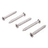 NDS 829 Stainless Steel Phillips Flat Head Screws #6 x 1 1/4" Inch (40 per bag)